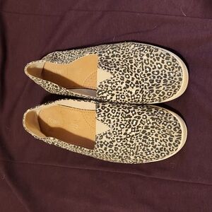 Cheetah Print Toms Slip Ons Size 11 Excellent Condition